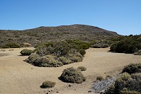 464_SS006121.jpg