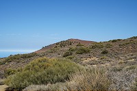 468_SS006129.jpg