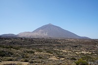 469_SS006132.jpg