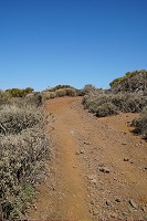473_SS006135.jpg