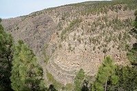 501_SS006175.jpg