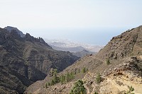 506_SS006183.jpg