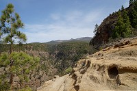 509_SS006191.jpg