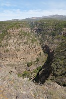 516_SS006197.jpg