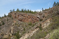 525_SS006215.jpg