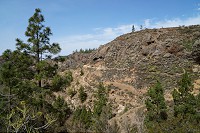 532_SS006233.jpg