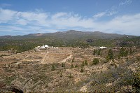 535_SS006244.jpg