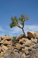 536_SS006247.jpg
