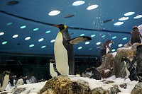 019_SS009616.jpg