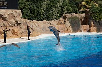 037_SS009632.jpg