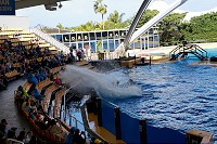 046_SS009638.jpg