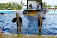 049_SS009643.jpg