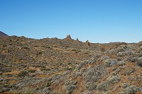 073_SS009664.jpg
