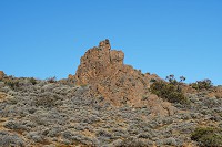 076_SS009668.jpg