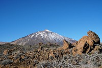 086_SS009695.jpg
