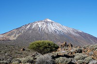 090_SS009701.jpg