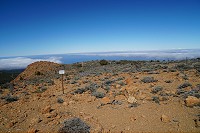 112_SS009736.jpg