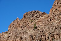 128_SS009756.jpg