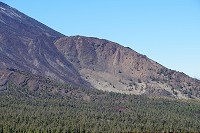 131_SS009761.jpg
