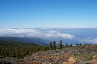 132_SS009762.jpg