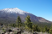 133_SS009765.jpg