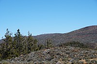 138_SS009775.jpg