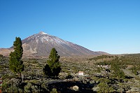 151_SS009784.jpg