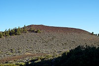 152_SS009786.jpg