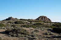 153_SS009788.jpg