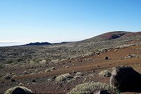 165_SS009805.jpg