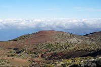 169_SS009814.jpg