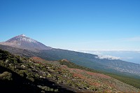 172_SS009820.jpg