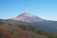 176_SS009824.jpg