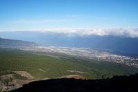 177_SS009826.jpg