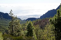 180_SS009832.jpg