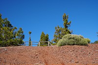 187_SS009844.jpg