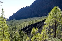 193_SS009850.jpg
