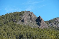 196_SS009854.jpg