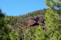197_SS009856.jpg