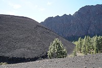 204_SS009870.jpg