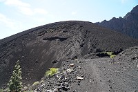 206_SS009873.jpg