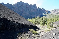 210_SS009878.jpg