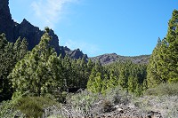 221_SS009898.jpg