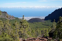 233_SS009913.jpg