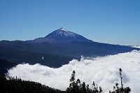 240_SS009929.jpg