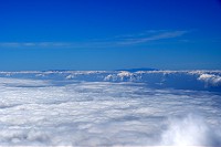 241_SS009930.jpg