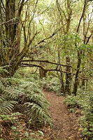 258_SS009948.jpg
