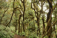 266_SS009956.jpg