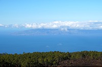 306_SS009990.jpg