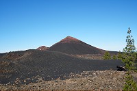 316_SS100013.jpg